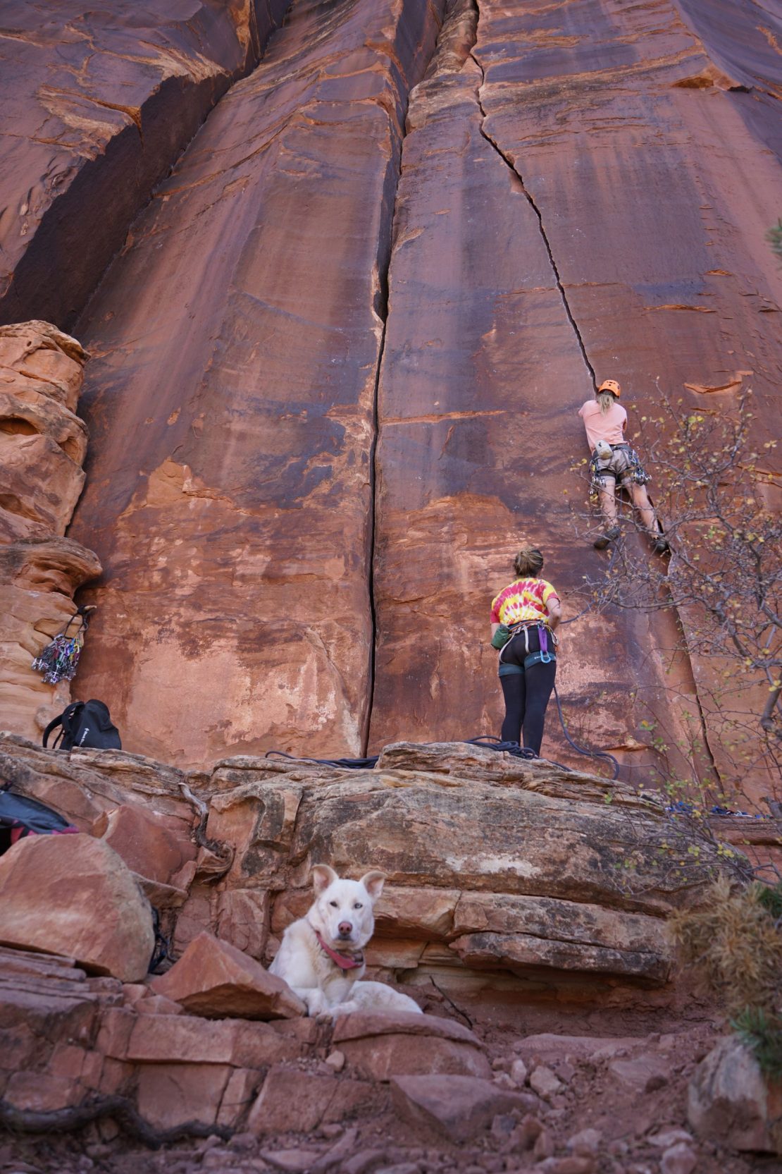 Indian Creek Climbing 